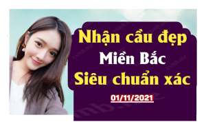 Dự Đoán Xổ Số 1/11/2024